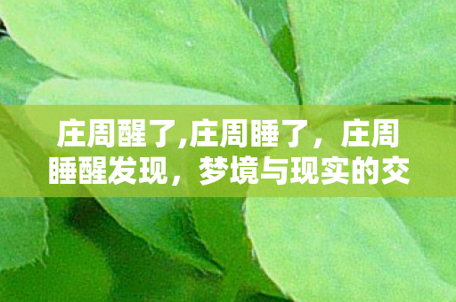 庄周醒了,庄周睡了，庄周睡醒发现，梦境与现实的交织—探索古老智慧的现代启示