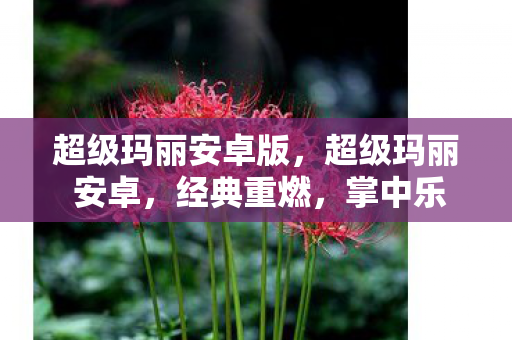 超级玛丽安卓版，超级玛丽 安卓，经典重燃，掌中乐园