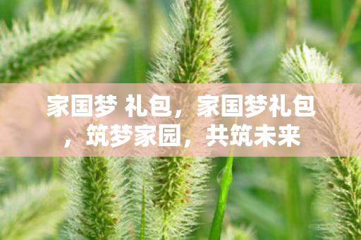 家国梦 礼包，家国梦礼包，筑梦家园，共筑未来