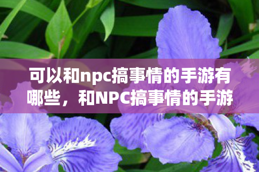 可以和npc搞事情的手游有哪些，和NPC搞事情的手游，探索虚拟世界的无限可能