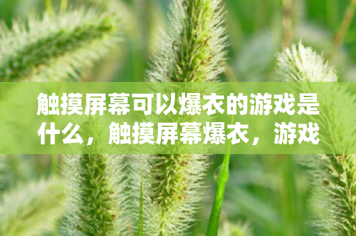 触摸屏幕可以爆衣的游戏是什么，触摸屏幕爆衣，游戏新潮流的奇幻体验