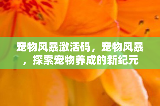 宠物风暴激活码，宠物风暴，探索宠物养成的新纪元