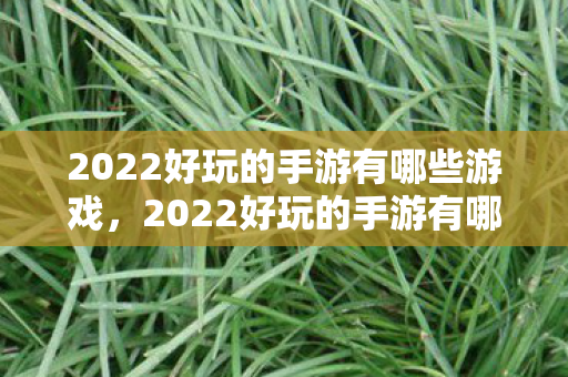 2022好玩的手游有哪些游戏，2022好玩的手游有哪些