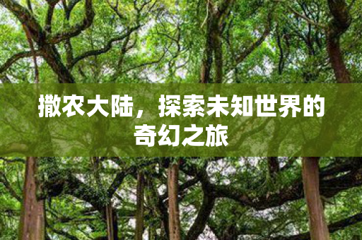 撒农大陆，探索未知世界的奇幻之旅