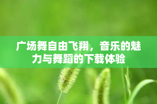 广场舞自由飞翔，音乐的魅力与舞蹈的下载体验