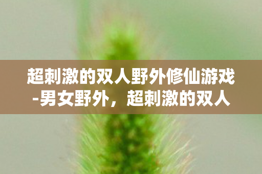 超刺激的双人野外修仙游戏-男女野外，超刺激的双人野外修仙游戏，与伴侣共赴仙境之旅