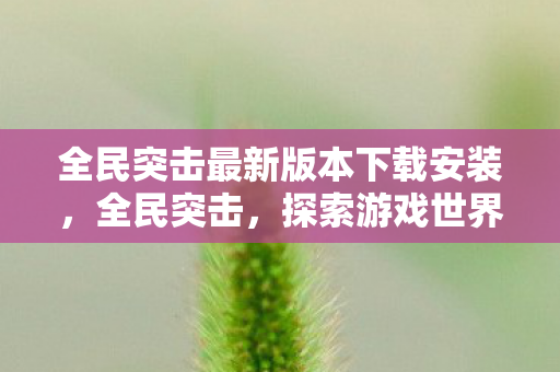 全民突击最新版本下载安装，全民突击，探索游戏世界的无限可能