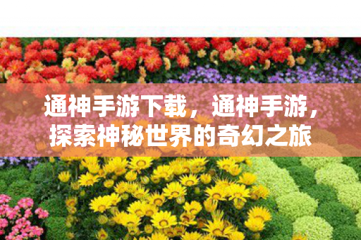 通神手游下载，通神手游，探索神秘世界的奇幻之旅