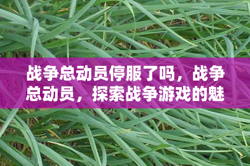 战争总动员停服了吗，战争总动员，探索战争游戏的魅力与策略