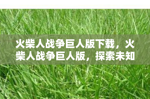 火柴人战争巨人版下载，火柴人战争巨人版，探索未知世界的奇幻冒险