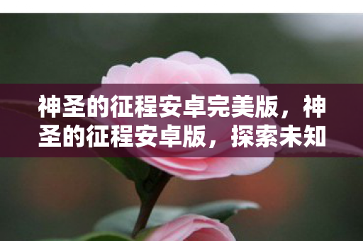 神圣的征程安卓完美版，神圣的征程安卓版，探索未知世界的奇妙之旅