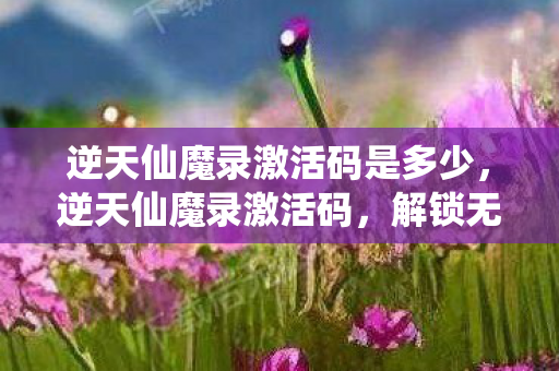 逆天仙魔录激活码是多少，逆天仙魔录激活码，解锁无限可能的神秘钥匙