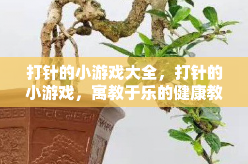 打针的小游戏大全，打针的小游戏，寓教于乐的健康教育新体验