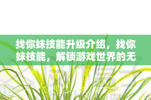 找你妹技能升级介绍，找你妹技能，解锁游戏世界的无限可能