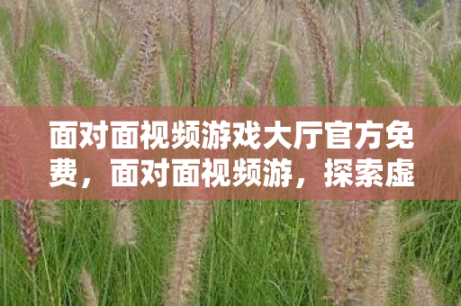面对面视频游戏大厅官方免费，面对面视频游，探索虚拟世界的无限可能