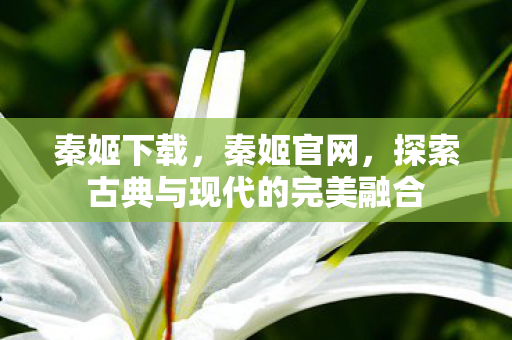 秦姬下载，秦姬官网，探索古典与现代的完美融合