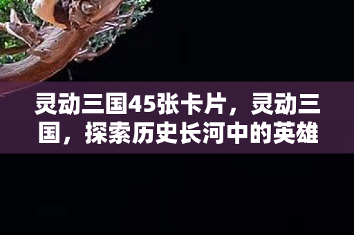 灵动三国45张卡片，灵动三国，探索历史长河中的英雄与智谋