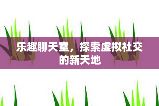 乐趣聊天室，探索虚拟社交的新天地