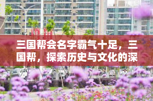 三国帮会名字霸气十足，三国帮，探索历史与文化的深度交汇