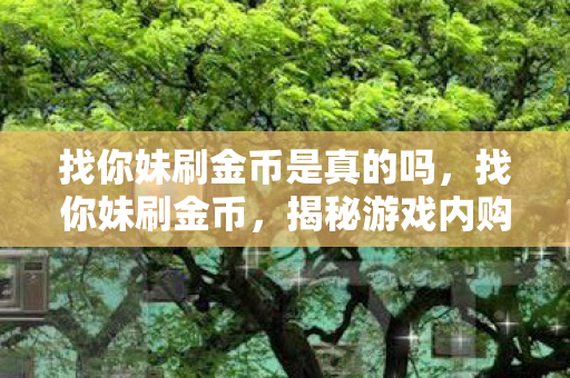 找你妹刷金币是真的吗，找你妹刷金币，揭秘游戏内购的灰色地带