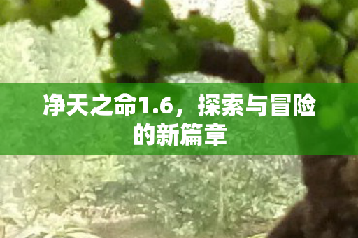 净天之命1.6，探索与冒险的新篇章