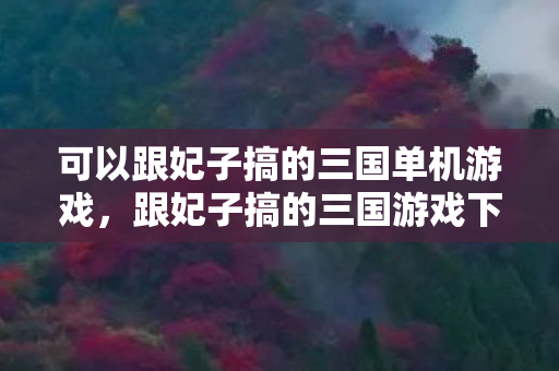 可以跟妃子搞的三国单机游戏，跟妃子搞的三国游戏下载，重温经典，再燃战火