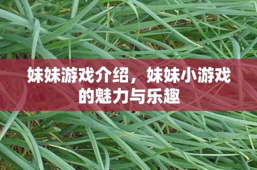 妹妹游戏介绍，妹妹小游戏的魅力与乐趣
