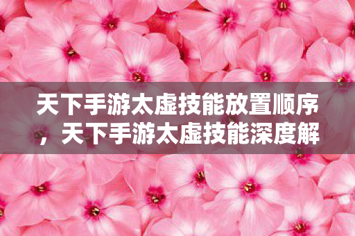 天下手游太虚技能放置顺序，天下手游太虚技能深度解析，掌握核心，驰骋九天