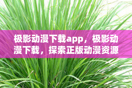 极影动漫下载app，极影动漫下载，探索正版动漫资源的便捷途径