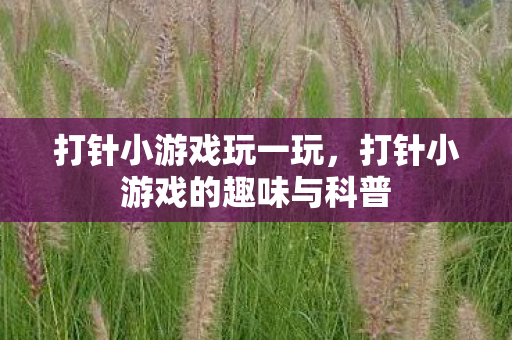 打针小游戏玩一玩，打针小游戏的趣味与科普