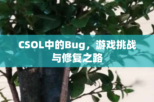 CSOL中的Bug，游戏挑战与修复之路