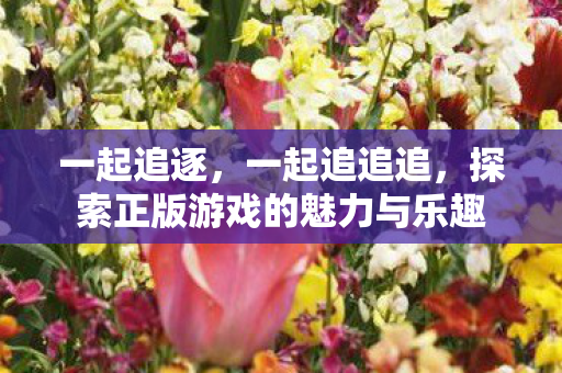 一起追逐，一起追追追，探索正版游戏的魅力与乐趣