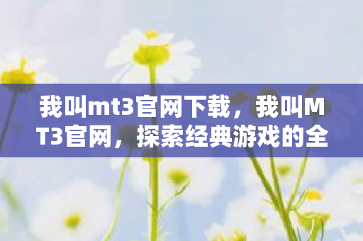 我叫mt3官网下载，我叫MT3官网，探索经典游戏的全新世界