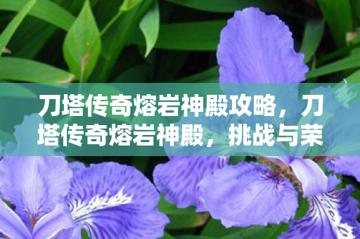 刀塔传奇熔岩神殿攻略，刀塔传奇熔岩神殿，挑战与荣耀的熔炉