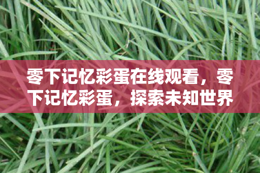 零下记忆彩蛋在线观看，零下记忆彩蛋，探索未知世界的神秘之旅