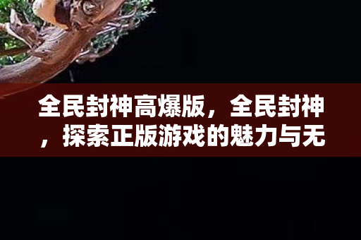全民封神高爆版，全民封神，探索正版游戏的魅力与无限可能