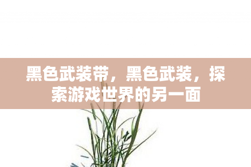 黑色武装带，黑色武装，探索游戏世界的另一面