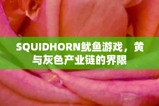 SQUIDHORN鱿鱼游戏，黄与灰色产业链的界限