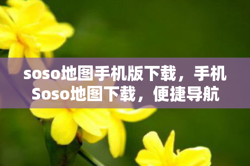 soso地图手机版下载，手机Soso地图下载，便捷导航，安全出行