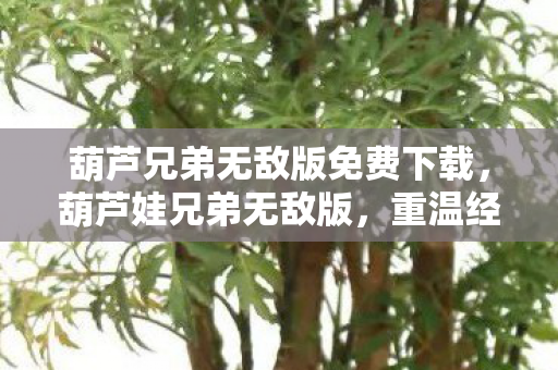 葫芦兄弟无敌版免费下载，葫芦娃兄弟无敌版，重温经典，畅享无限乐趣