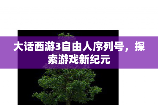 大话西游3自由人序列号，探索游戏新纪元
