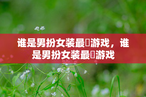 谁是男扮女装最囧游戏，谁是男扮女装最囧游戏