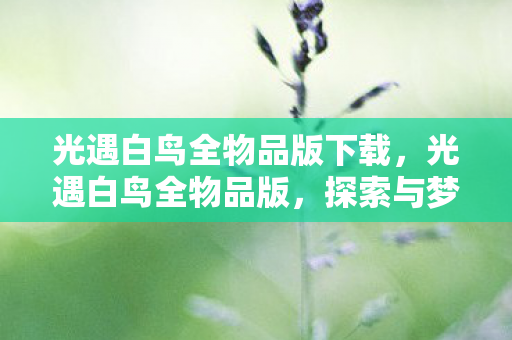 光遇白鸟全物品版下载，光遇白鸟全物品版，探索与梦想的奇妙之旅