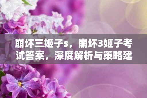 崩坏三姬子s，崩坏3姬子考试答案，深度解析与策略建议