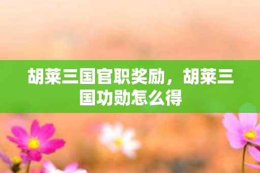 胡莱三国官职奖励，胡莱三国功勋怎么得