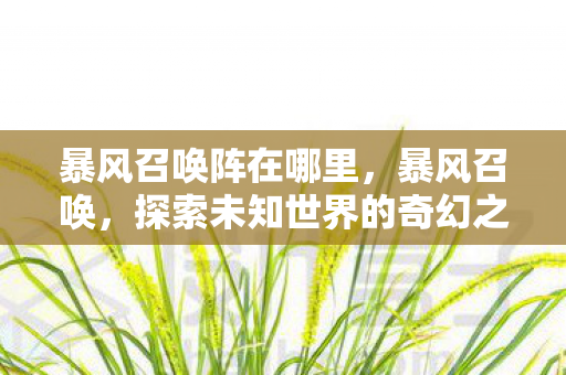 暴风召唤阵在哪里，暴风召唤，探索未知世界的奇幻之旅