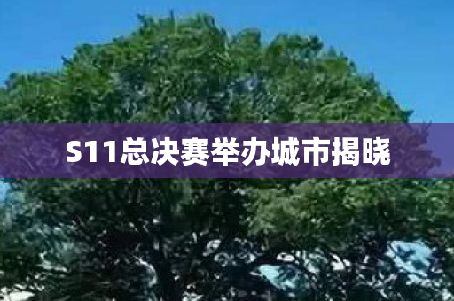 S11总决赛举办城市揭晓 S11总决赛举办城市揭晓