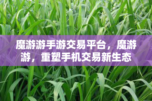 魔游游手游交易平台，魔游游，重塑手机交易新生态