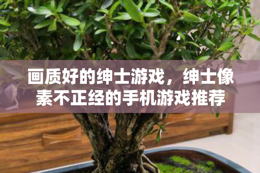 画质好的绅士游戏，绅士像素不正经的手机游戏推荐