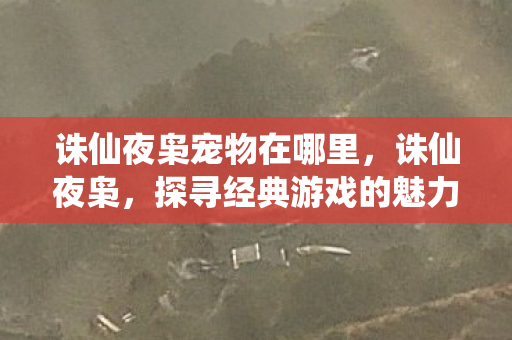 诛仙夜枭宠物在哪里，诛仙夜枭，探寻经典游戏的魅力与传承